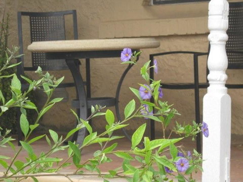 Amalie Cottage Waikerie - Gold Coast 0