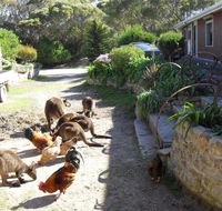 Anchorage Apartments - Tourism Gold Coast