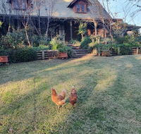 Angaston by the Winter Creek - Tourism Gold Coast