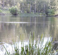 Arcadian Cabin - Southern Highlands River Retreat - Tourism Gold Coast