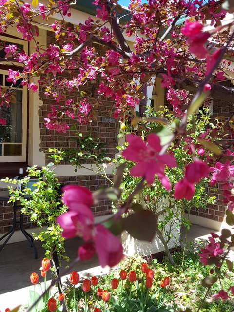 Arden On McLachlan - Tourism Gold Coast 3