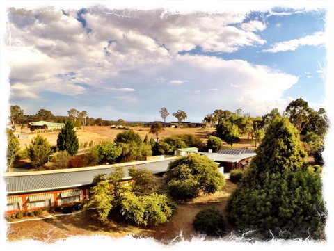 Armidale Rose Villa Motel - Tourism Gold Coast 1
