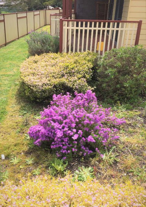 Marsden Court Apartments Now Incorporating Marsden Court And Sharonlee Strahan Villas - Tourism Gold Coast 2