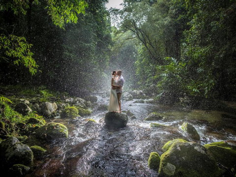 Misty Mountains Hideaway - Tourism Gold Coast 3