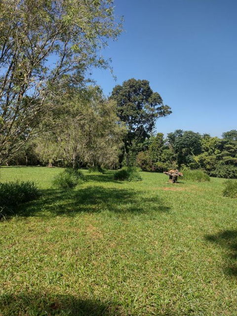 Misty Mountains Retreat - Tourism Gold Coast 1