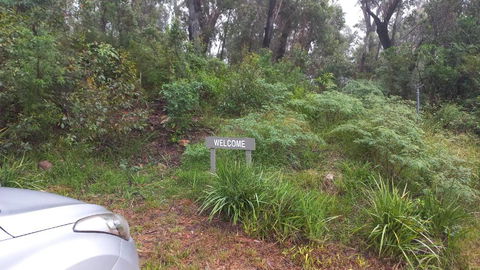 Mountain Tranquility - Tourism Gold Coast 3