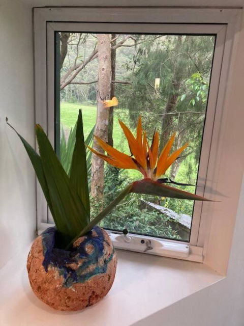 Nature Retreat & Artists Studio 90mins From Sydney - Tourism Gold Coast 1