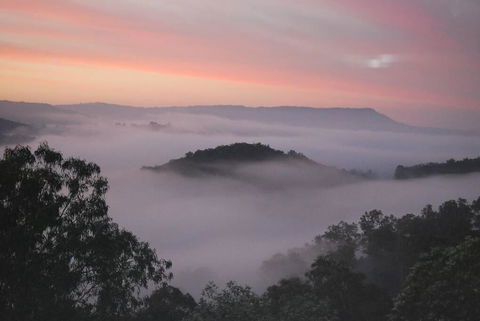 Nunyara Retreat. Quality Bush Retreat - Tourism Gold Coast 0