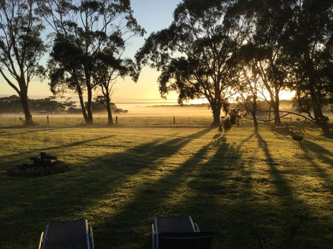 Olivi - Tourism Gold Coast 0