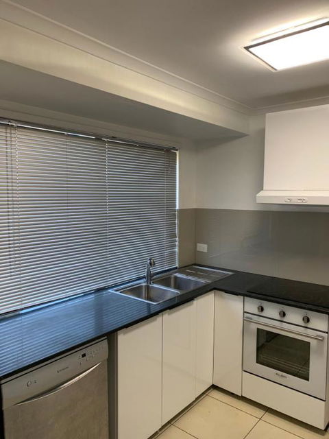 Pets Welcome Central And Convenient - Tourism Gold Coast 1