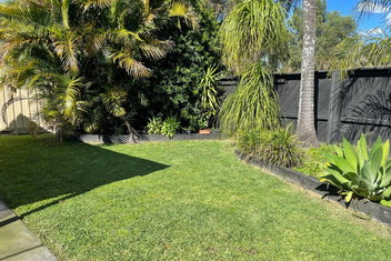 Pets Welcome Central And Convenient with Tourism Gold Coast