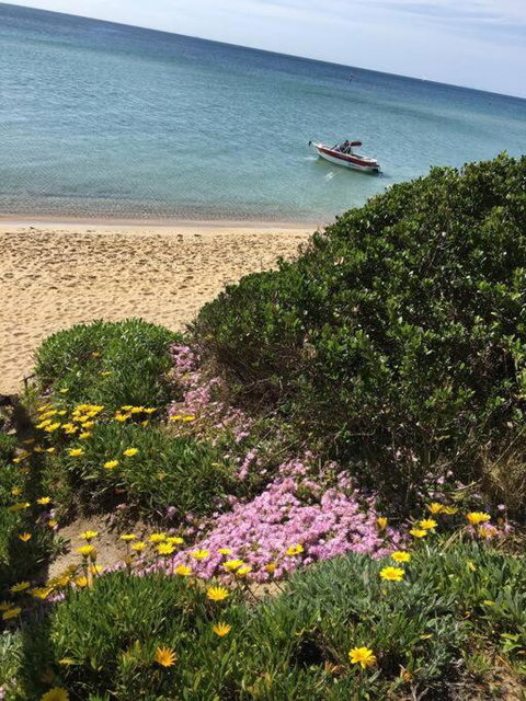 Quiet, Luxurious Guest House - Couples Retreat - Gold Coast 1