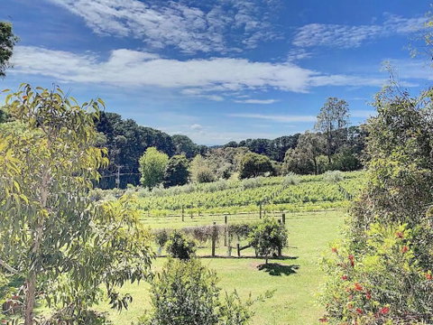 Red Hill Lane 5BedroomVineyard&RuralValleyViews - Tourism Gold Coast 3