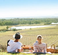 Audrey Wilkinson Vineyard - Tourism Gold Coast
