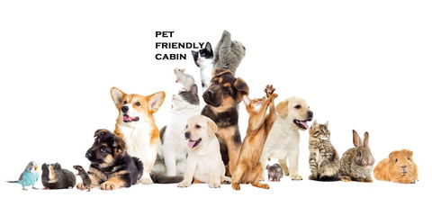 Australian Motor Homes Tourist Park - Tourism Gold Coast 1