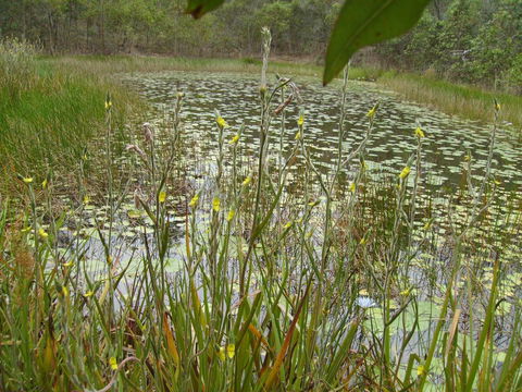 Back To The Bush - Tourism Gold Coast 3