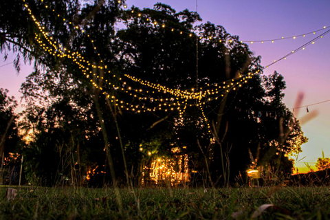 Banyan Tree - Gold Coast 0