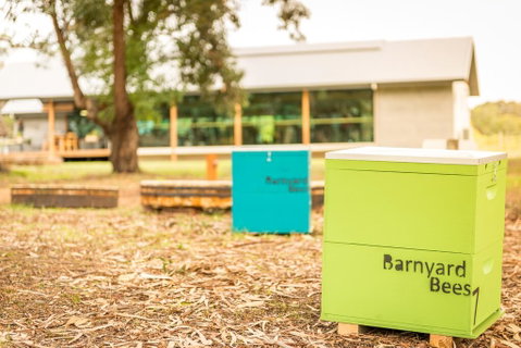 Barn Hives Yallingup - Tourism Gold Coast 2