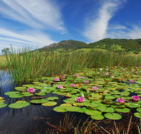 Barrington Hideaway- River Cottages - Gold Coast