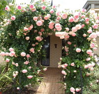 Baudins of Busselton Bed and Breakfast - Tourism Gold Coast