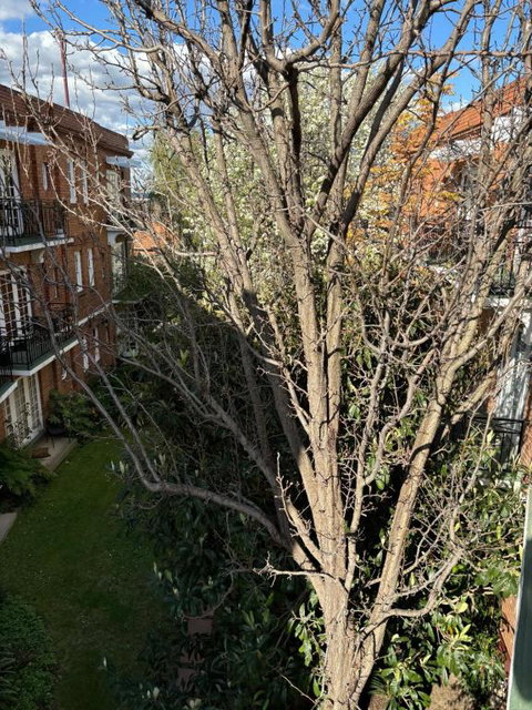 Regents Gate East Melbourne - Tourism Gold Coast 1