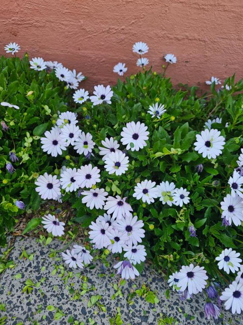 Reverie - Tourism Gold Coast 2