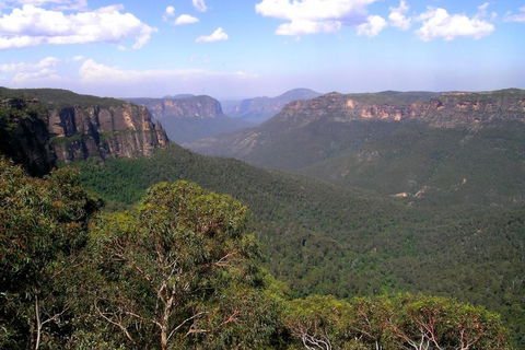 Ribbon Gum Lodge - Tourism Gold Coast 1