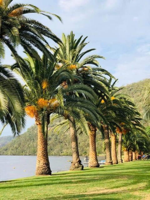 Riva On The Hawkesbury - Tourism Gold Coast 0