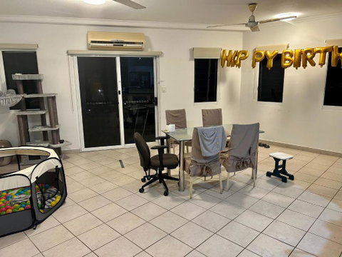 Room In City With Kittens! - Tourism Gold Coast 3