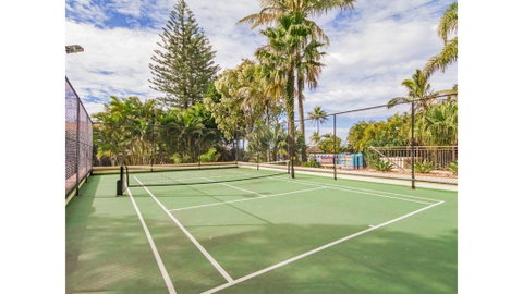 Royal Palm 19 - Tourism Gold Coast 3