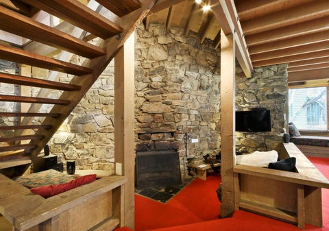 Seadog - Tourism Gold Coast 1