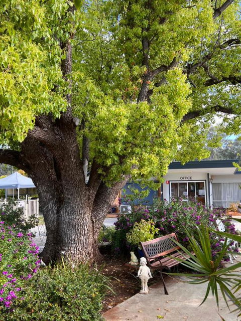 Sturt Motel Balranald - Tourism Gold Coast 1