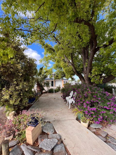 Sturt Motel Balranald - Tourism Gold Coast 2