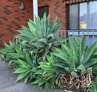 Beautiful Bedroom in Bentleigh East - Gold Coast