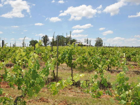 Beggars Bridge Vineyard Homestead W/ Pool + Wifi + Tennis + Vineyard - Tourism Gold Coast 2