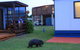 BIG4 Kelso Sands Holiday & Native Wildlife Park - thumb 2