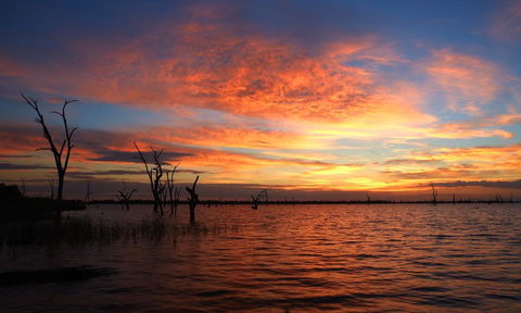 BIG4 NRMA Yarrawonga Mulwala Holiday Park - Tourism Gold Coast 0