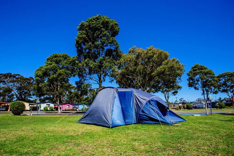 BIG4 Traralgon Park Lane Holiday Park - Tourism Gold Coast 2