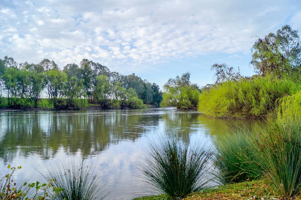 Springvale NSW Tourism Gold Coast