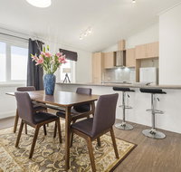 Blue Rosella on Piper - Gold Coast