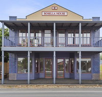 Blue Rosella On Piper - Gold Coast