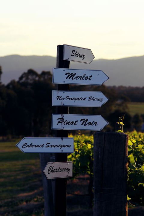 Blueberry Hill Vineyard Villa - Tourism Gold Coast 3
