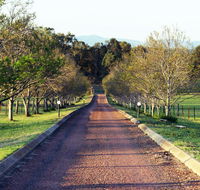 Blueberry Hill Vineyard Villa - Tourism Gold Coast