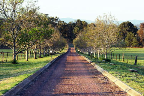 Blueberry Hill Vineyard Villa - Tourism Gold Coast 0