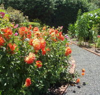 Boat Harbour Garden Cottages - Tourism Gold Coast