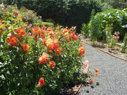 Boat Harbour Garden Cottages - Tourism Gold Coast 0