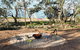 The Jetty Hut - Lake Frontage Barmera Riverland - thumb 3