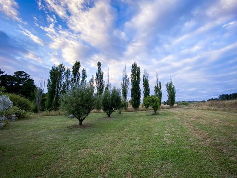 The Pine Tree Cottage - Charming Cottage Close To Canberra - Tourism Gold Coast 1