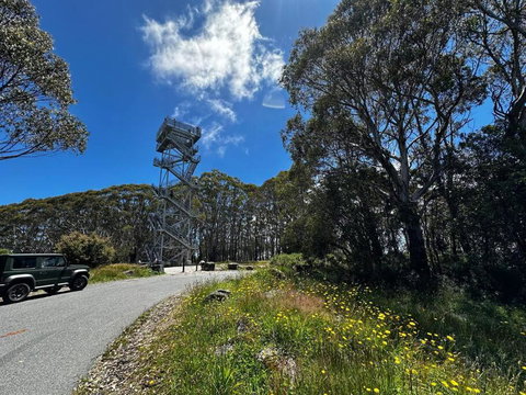 Tiny House At Gilderoy Valley Views - Tourism Gold Coast 1