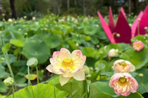 Tiny House At Gilderoy Valley Views - Tourism Gold Coast 2